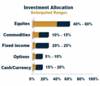 InvestmentAllocation